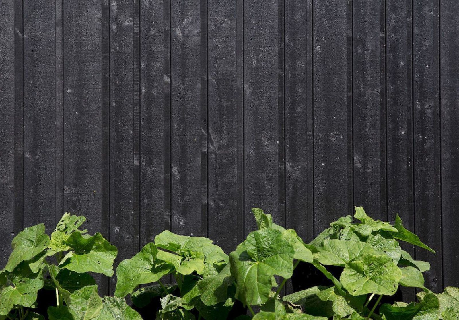 VäriWood channelsiding VäriWood channelsiding