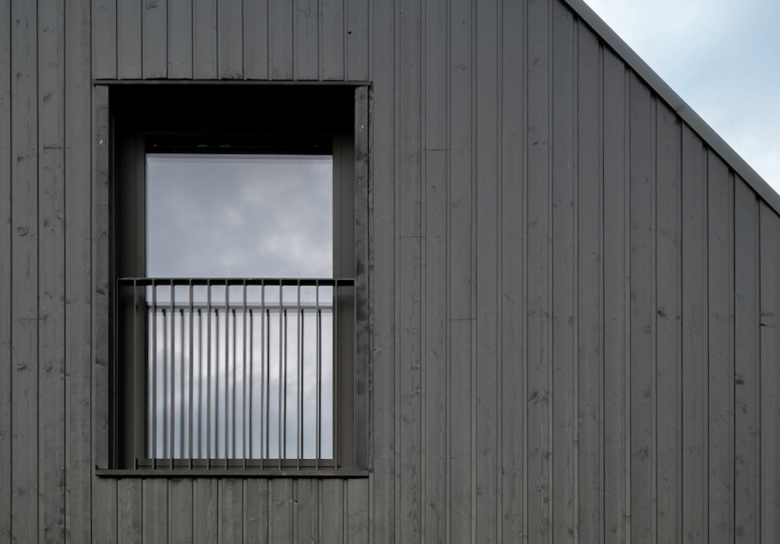 Schuurwoning Wijhe - VäriWood Schuurwoning Wijhe - VäriWood
