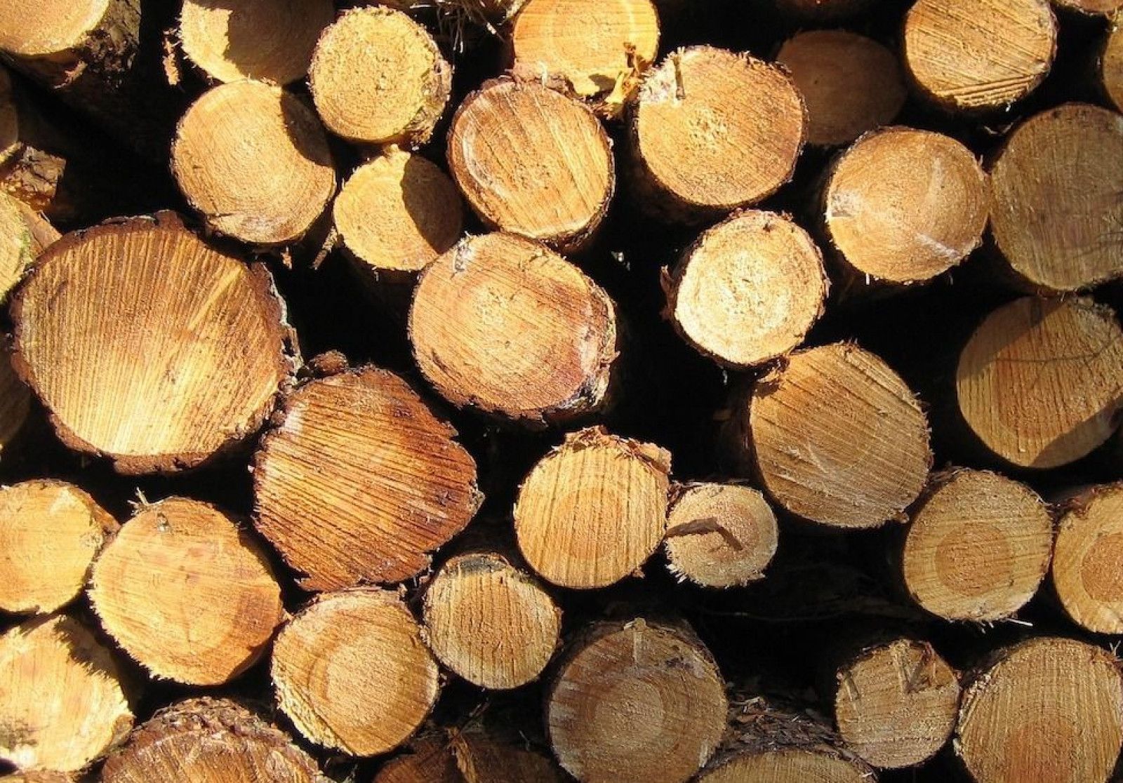 Hout verduurzamen Hout verduurzamen