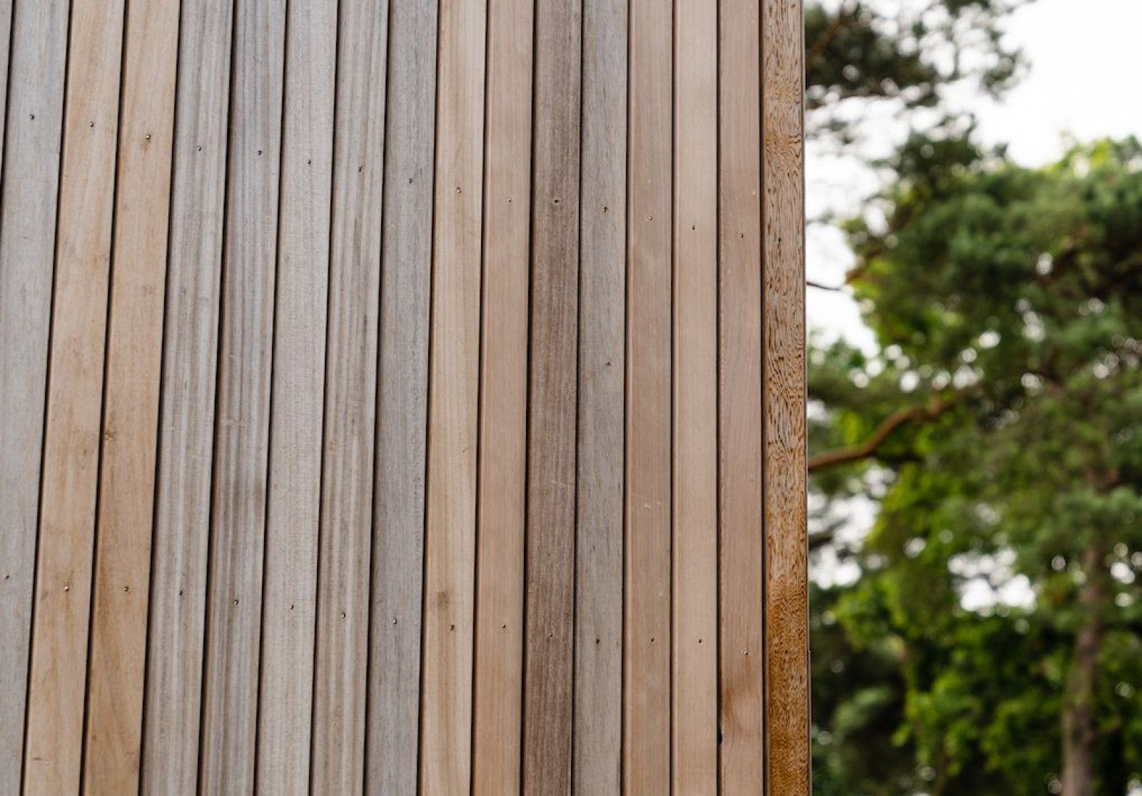 Foutvrij hout Foutvrij hout