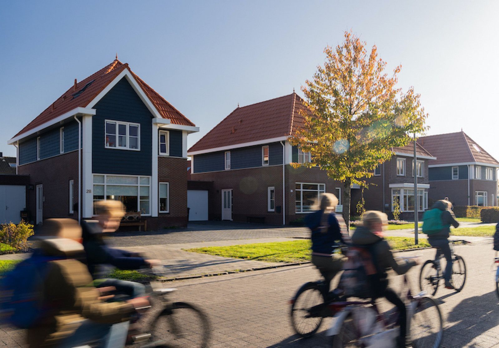 Duurzaam hout Duurzaam hout